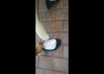 Intentionally kicked off the beauty's high heels 17